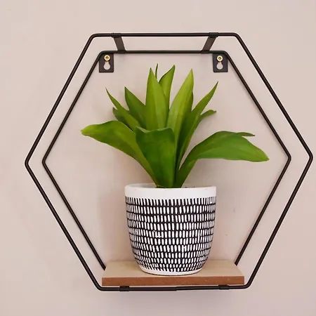 The Trafalgar * Scarborough