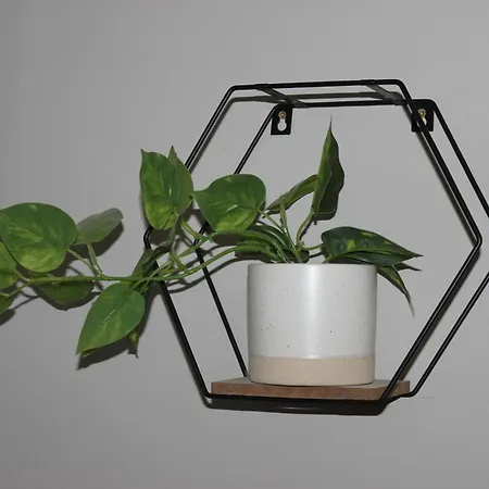 Hébergement de vacances The Trafalgar