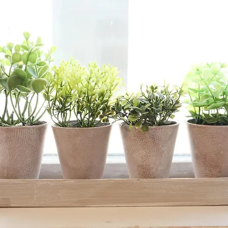 Vakantiehuis The Trafalgar Sleeps 7 Town Centre House Scarborough