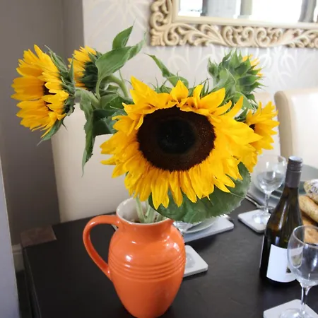 Tatil Evi The Trafalgar Sleeps 7 Town Centre House