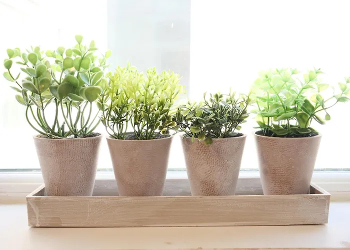 Vakantiehuis The Trafalgar Sleeps 7 Town Centre House Scarborough