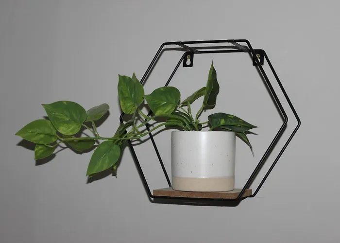 別荘 The Trafalgar Sleeps 7 Town Centre House スカーバラ