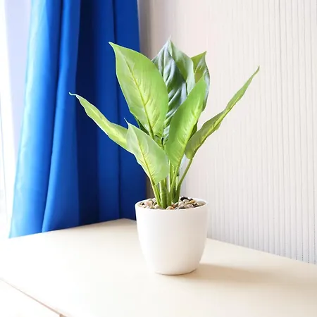 The Trafalgar Feriehus Scarborough